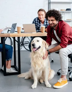 Bürohund posiert stolz mit seinem Team rund um einen Tisch voller Laptops