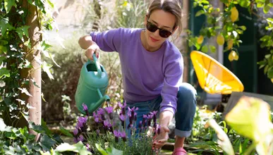 Zum Artikel Giftige Pflanzen im heimischen Garten