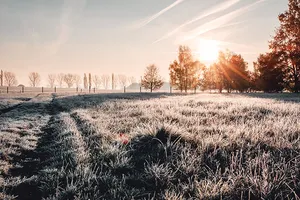 Ganz unschuldig glänzt der Nachtfrost auf dem Feld in der Sonne an diesem klaren Wintermorgen