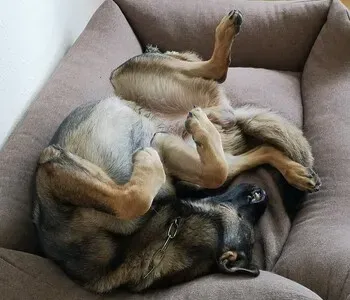 Porträt von Alex vom Pendel Bach (Mecklenburgische Versicherung) Porträt von Alex vom Pendel Bach (Mecklenburgische Versicherung)