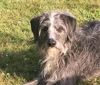 Porträt von Max (Mecklenburgische Versicherung)