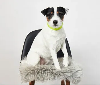 Porträt von Nele (Mecklenburgische Versicherung) Porträt von Nele (Mecklenburgische Versicherung)