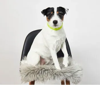 Porträt von Nele (Mecklenburgische Versicherung)