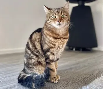 Porträt von Mimi (Mecklenburgische Versicherung)