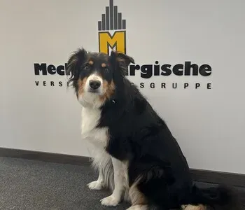 Porträt von Cara (Mecklenburgische Versicherung)