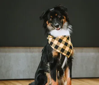 Porträt von "Feel-Good-Manager" (Mecklenburgische Versicherung)