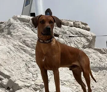 Porträt von Abuu (Mecklenburgische Versicherung) Porträt von Abuu (Mecklenburgische Versicherung)